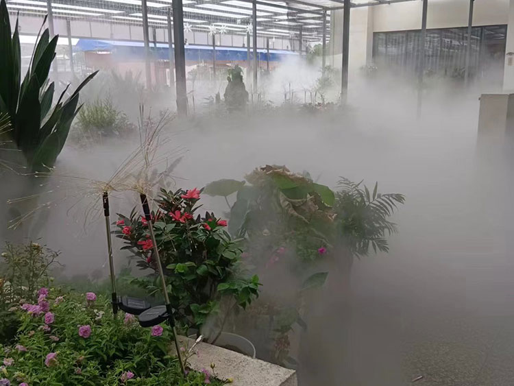 浙江宁波餐厅雾森造景