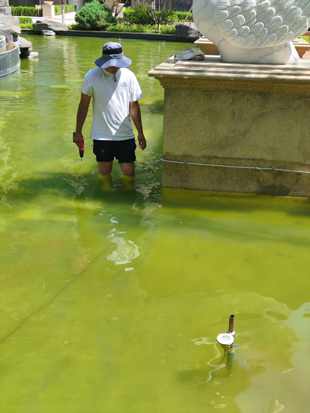 水池雾森系统安装